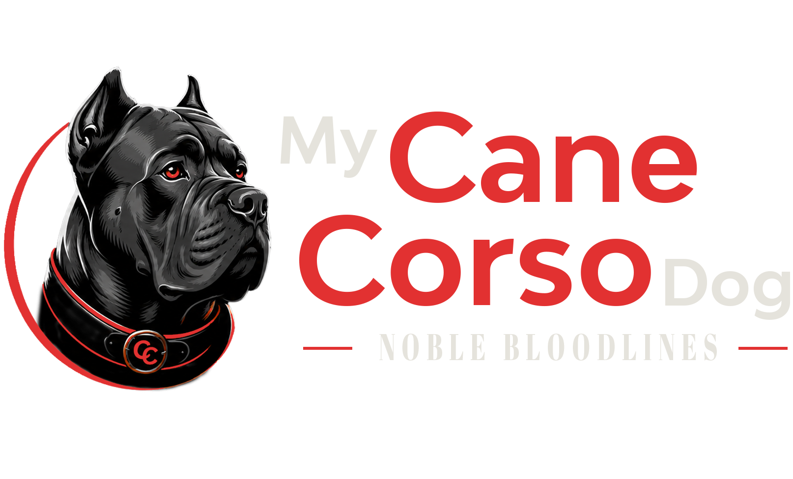 My Cane Corso Dog